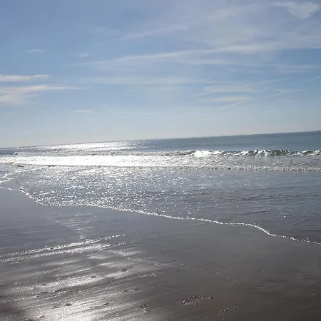 Le Pavot * La Tranche-sur-Mer