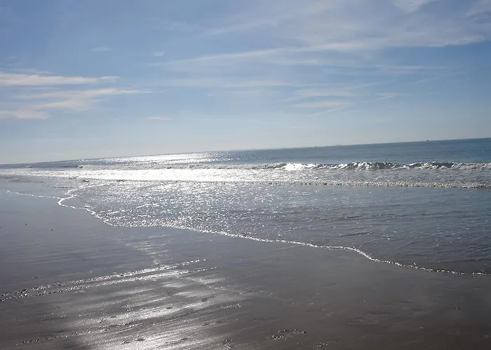 Le Pavot * La Tranche-sur-Mer